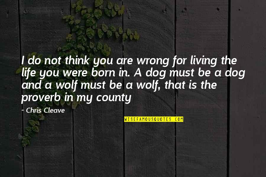 My Dog Is Quotes By Chris Cleave: I do not think you are wrong for My Dog Is Quotes By Chris Cleave: I do not think you are wrong for