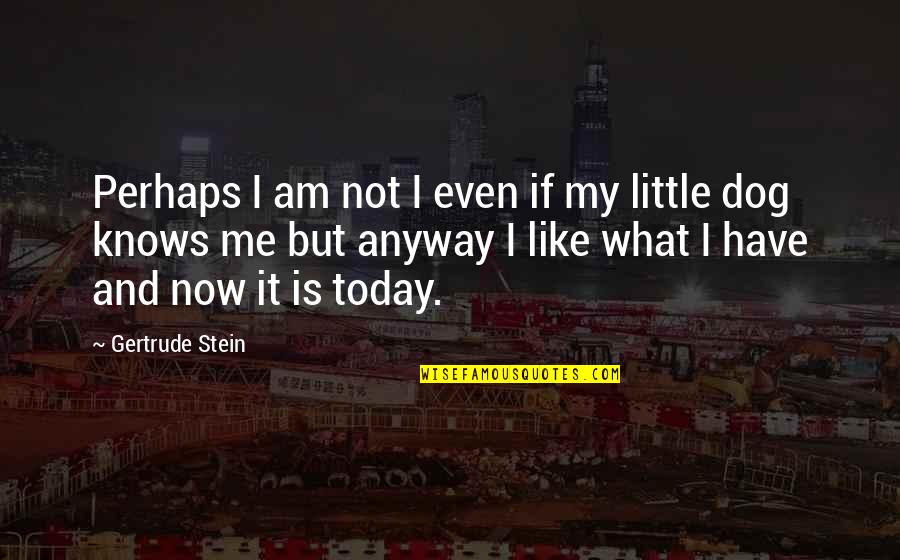 My Dog Is Quotes By Gertrude Stein: Perhaps I am not I even if my My Dog Is Quotes By Gertrude Stein: Perhaps I am not I even if my