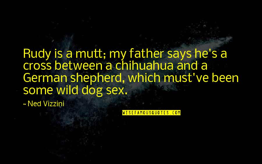 My Dog Is Quotes By Ned Vizzini: Rudy is a mutt; my father says he's
