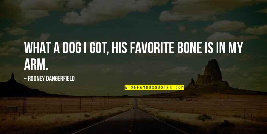 My Dog Is Quotes By Rodney Dangerfield: What a dog I got, his favorite bone My Dog Is Quotes By Rodney Dangerfield: What a dog I got, his favorite bone