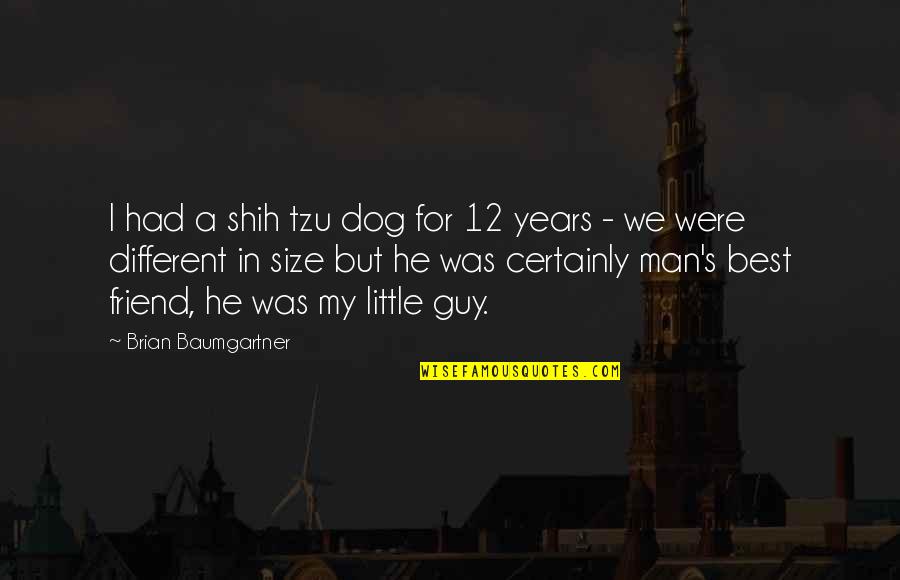 My Dog My Best Friend Quotes By Brian Baumgartner: I had a shih tzu dog for 12