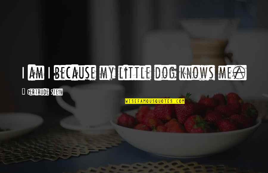 My Dog Quotes By Gertrude Stein: I am I because my little dog knows