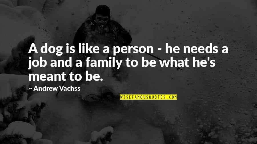 My Dogs Are Family Quotes By Andrew Vachss: A dog is like a person - he