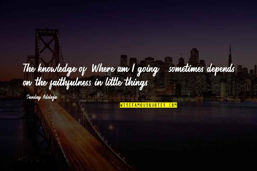 My Ears Are Ringing Quotes By Sunday Adelaja: The knowledge of "Where am I going?" sometimes