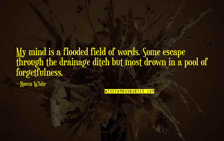 My Escape Quotes By Raven White: My mind is a flooded field of words.