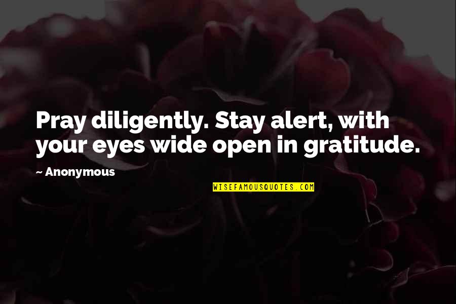 My Eyes Are Open Quotes By Anonymous: Pray diligently. Stay alert, with your eyes wide