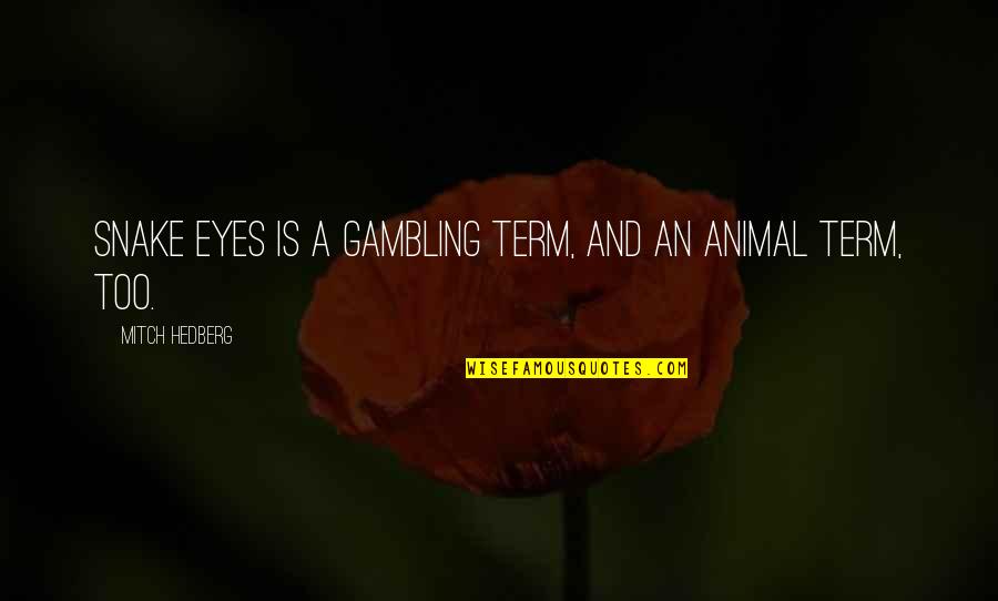 My Eyes Funny Quotes By Mitch Hedberg: Snake eyes is a gambling term, and an My Eyes Funny Quotes By Mitch Hedberg: Snake eyes is a gambling term, and an