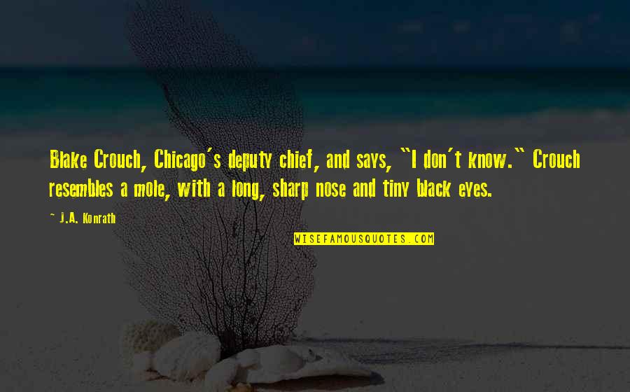 My Eyes Says It All Quotes By J.A. Konrath: Blake Crouch, Chicago's deputy chief, and says, "I