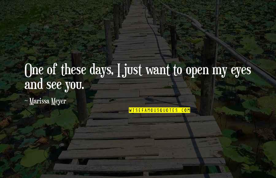 My Eyes See You Quotes By Marissa Meyer: One of these days, I just want to