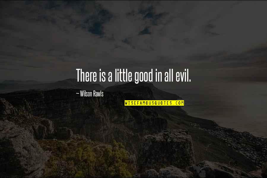 My Eyes Speaks Quotes By Wilson Rawls: There is a little good in all evil.