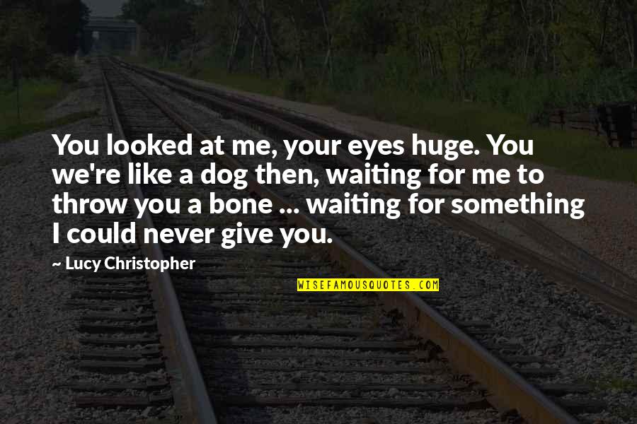 My Eyes Waiting For You Quotes By Lucy Christopher: You looked at me, your eyes huge. You My Eyes Waiting For You Quotes By Lucy Christopher: You looked at me, your eyes huge. You