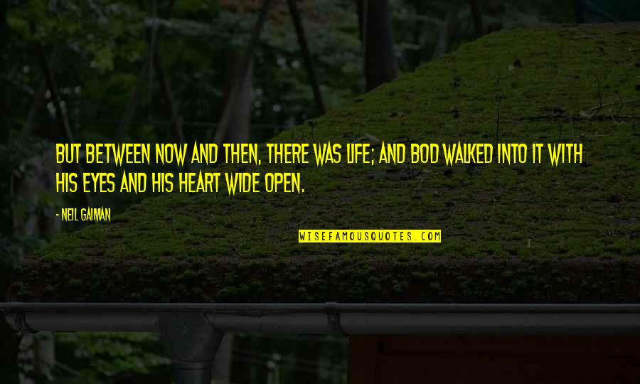 My Eyes Wide Open Quotes By Neil Gaiman: But between now and then, there was Life;