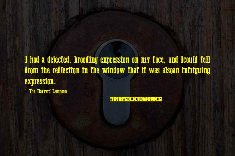 My Face Expression Quotes By The Harvard Lampoon: I had a dejected, brooding expression on my