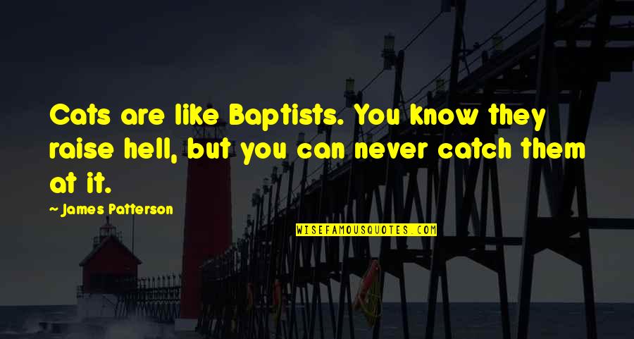 My Fair Mandy Quotes By James Patterson: Cats are like Baptists. You know they raise My Fair Mandy Quotes By James Patterson: Cats are like Baptists. You know they raise