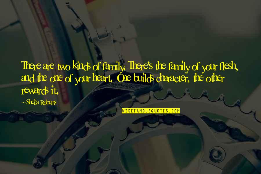 My Family Is My Heart Quotes By Sheila Roberts: There are two kinds of family. There's the