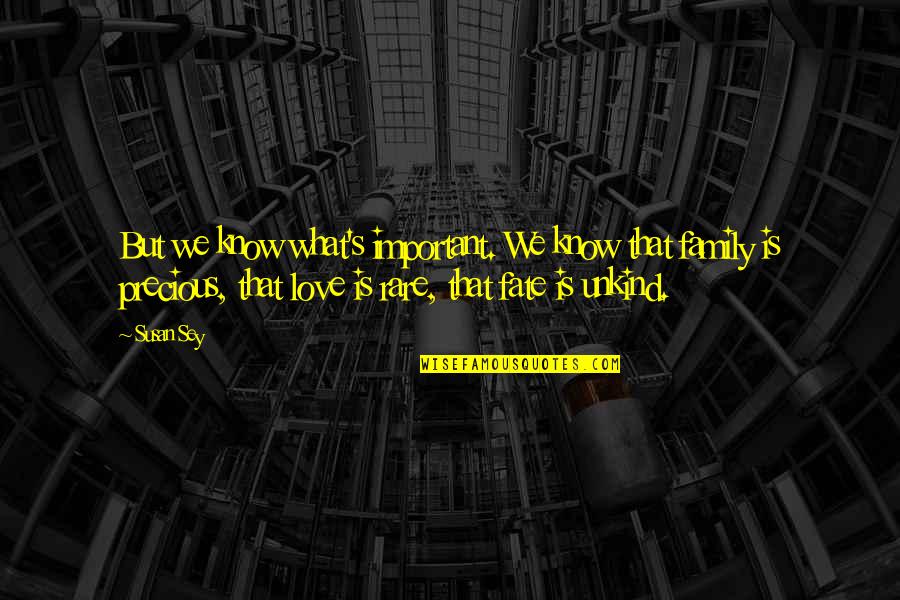 My Family Is Precious Quotes By Susan Sey: But we know what's important. We know that