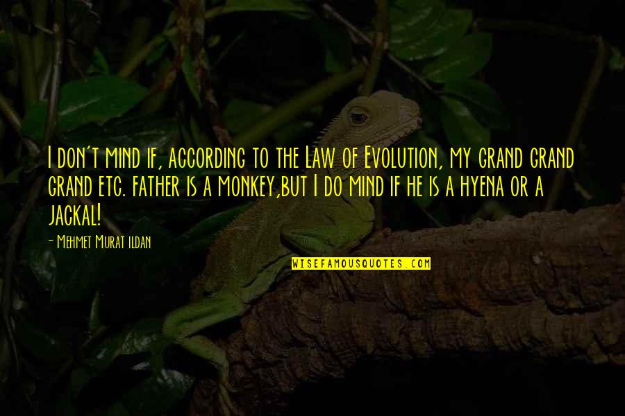 My Father In Law Quotes By Mehmet Murat Ildan: I don't mind if, according to the Law My Father In Law Quotes By Mehmet Murat Ildan: I don't mind if, according to the Law