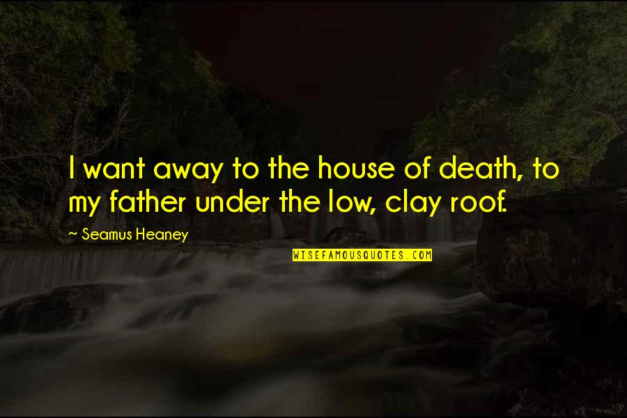 My Father's Death Quotes By Seamus Heaney: I want away to the house of death,