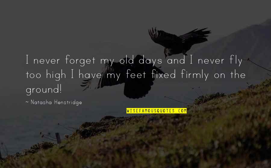 My Feet On The Ground Quotes By Natasha Henstridge: I never forget my old days and I