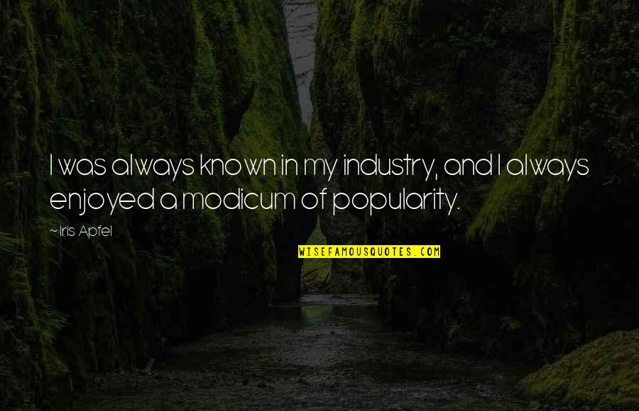 My First Bike Quotes By Iris Apfel: I was always known in my industry, and