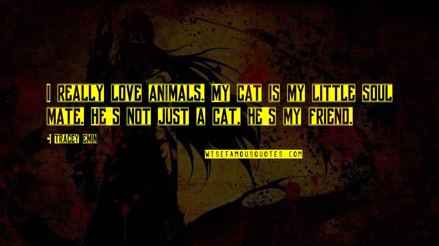 My Friend I Love Quotes By Tracey Emin: I really love animals. My cat is my My Friend I Love Quotes By Tracey Emin: I really love animals. My cat is my