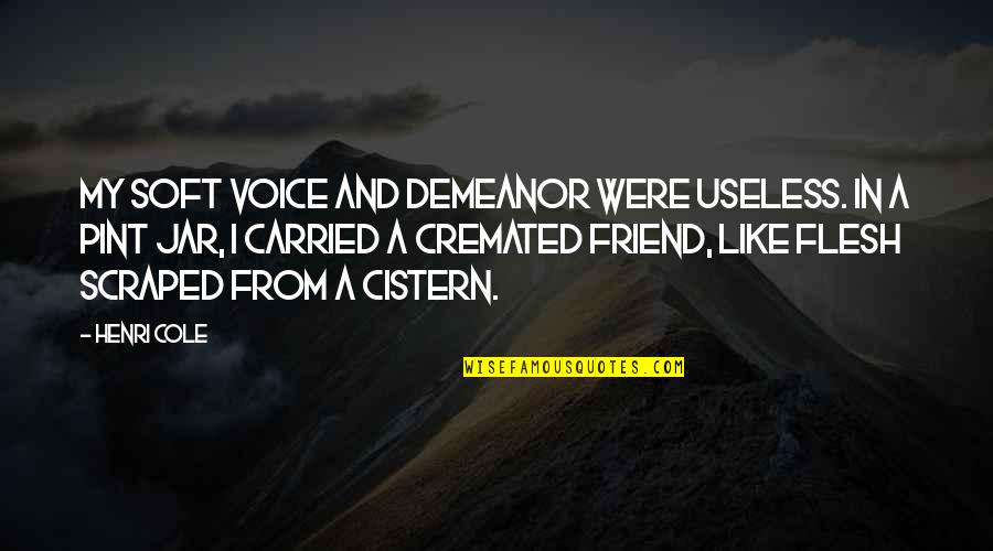 My Friend Ignores Me Quotes By Henri Cole: My soft voice and demeanor were useless. In
