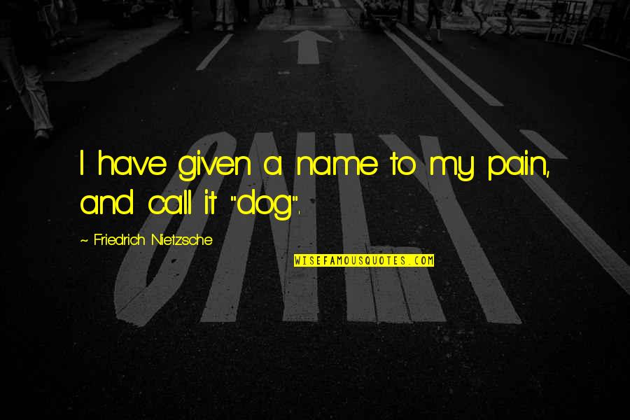 My Future Fiance Quotes By Friedrich Nietzsche: I have given a name to my pain,