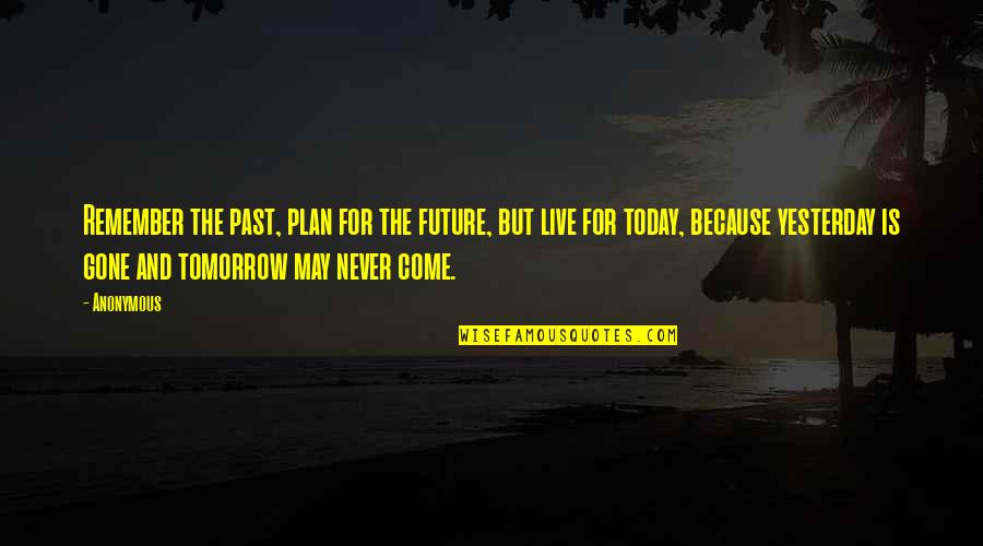 My Future Plan Quotes By Anonymous: Remember the past, plan for the future, but