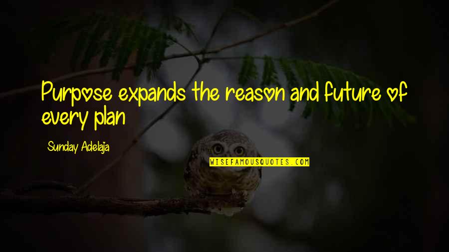 My Future Plan Quotes By Sunday Adelaja: Purpose expands the reason and future of every