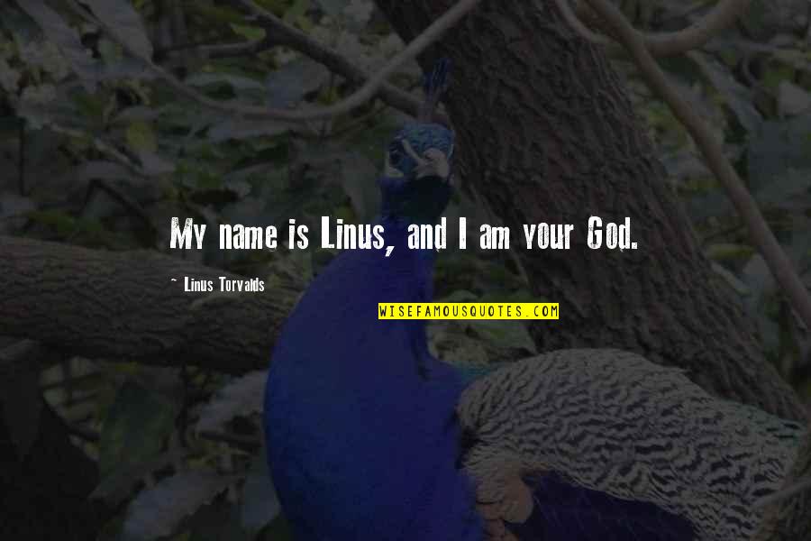 My God Is Quotes By Linus Torvalds: My name is Linus, and I am your