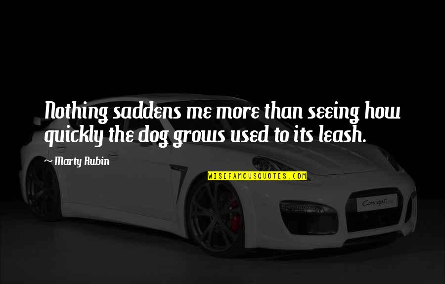 My Grandma Is Dying Quotes By Marty Rubin: Nothing saddens me more than seeing how quickly