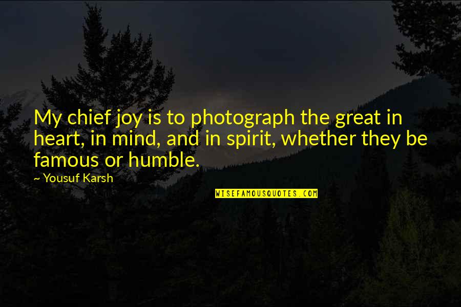 My Heart And Mind Quotes By Yousuf Karsh: My chief joy is to photograph the great