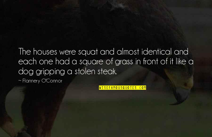 My Heart Beating So Fast Quotes By Flannery O'Connor: The houses were squat and almost identical and