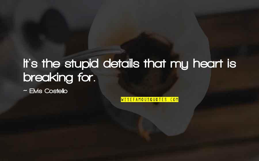 My Heart Breaking Quotes By Elvis Costello: It's the stupid details that my heart is