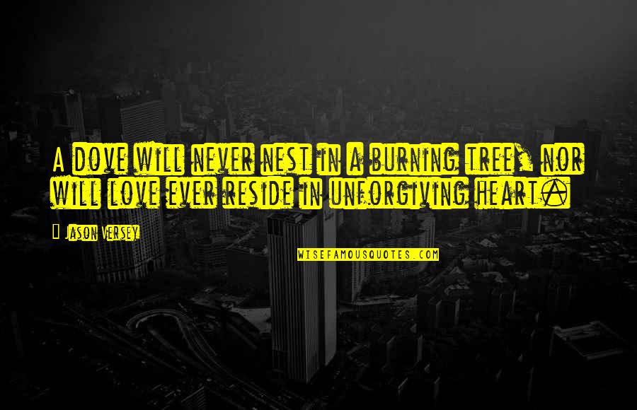 My Heart Burning Quotes By Jason Versey: A dove will never nest in a burning My Heart Burning Quotes By Jason Versey: A dove will never nest in a burning