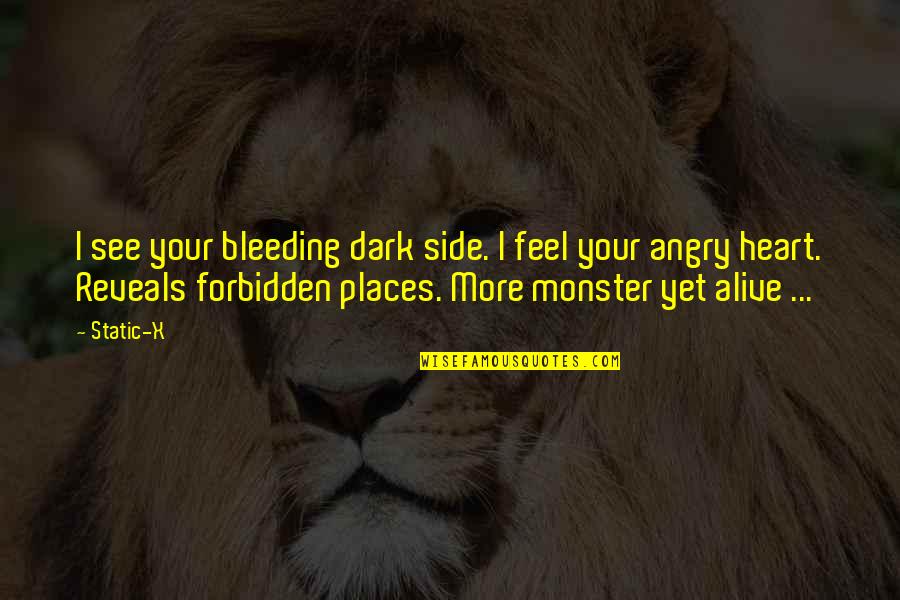 My Heart Is Bleeding For You Quotes By Static-X: I see your bleeding dark side. I feel