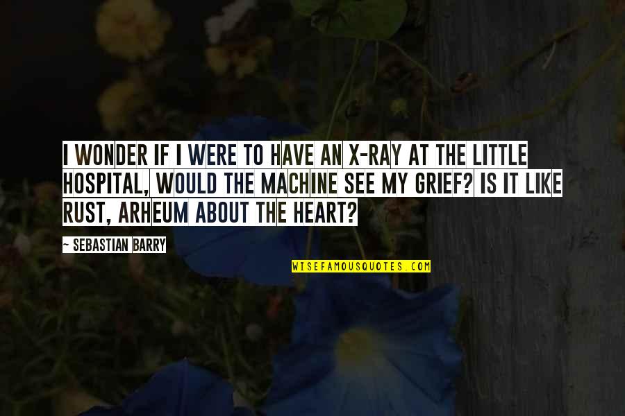 My Heart Is Like Quotes By Sebastian Barry: I wonder if I were to have an