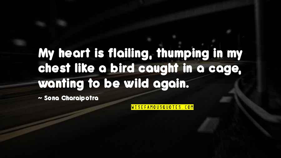 My Heart Is Like Quotes By Sona Charaipotra: My heart is flailing, thumping in my chest
