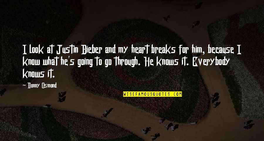 My Heart Knows Quotes By Donny Osmond: I look at Justin Bieber and my heart