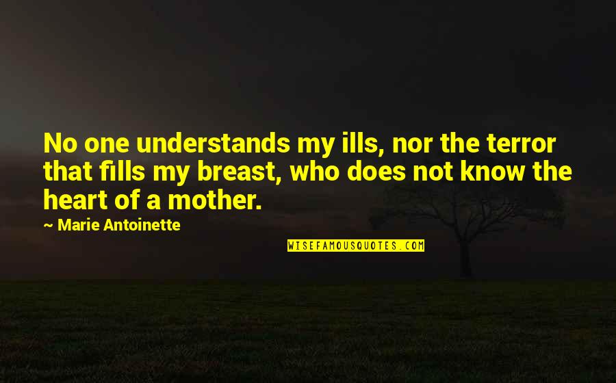 My Heart Understands Your Heart Quotes By Marie Antoinette: No one understands my ills, nor the terror My Heart Understands Your Heart Quotes By Marie Antoinette: No one understands my ills, nor the terror