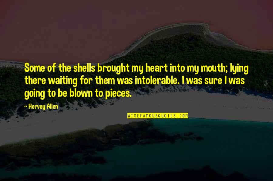 My Heart's In Pieces Quotes By Hervey Allen: Some of the shells brought my heart into