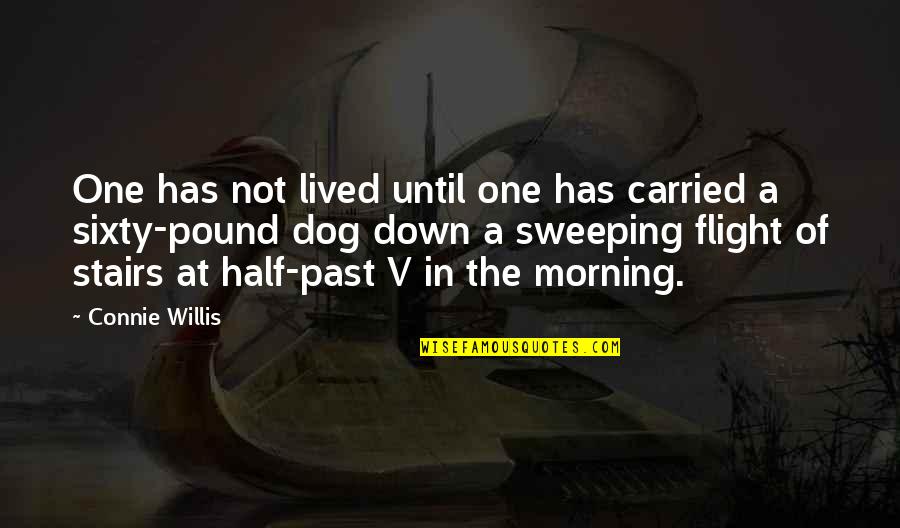 My Husband In Heaven Quotes By Connie Willis: One has not lived until one has carried My Husband In Heaven Quotes By Connie Willis: One has not lived until one has carried