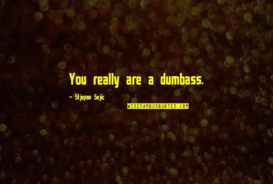 My Husband Who Passed Away Quotes By Stjepan Sejic: You really are a dumbass. My Husband Who Passed Away Quotes By Stjepan Sejic: You really are a dumbass.