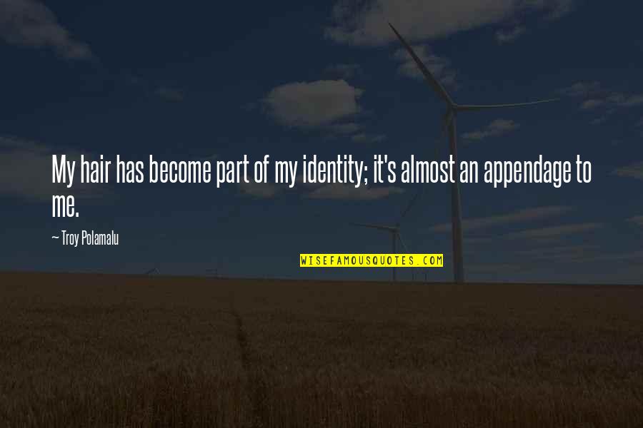 My Identity Quotes By Troy Polamalu: My hair has become part of my identity;