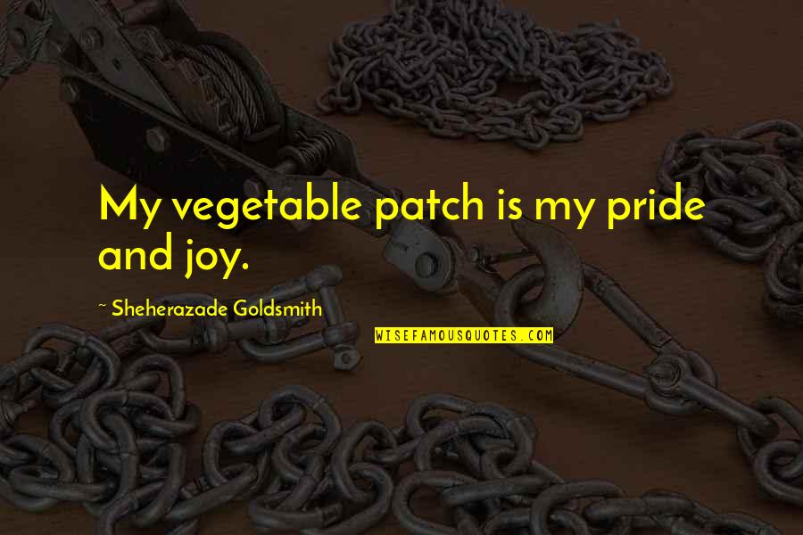 My Joy Quotes By Sheherazade Goldsmith: My vegetable patch is my pride and joy.