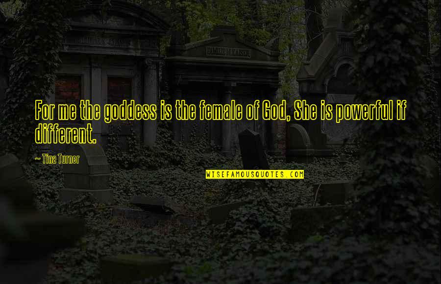 My Killer Look Quotes By Tina Turner: For me the goddess is the female of