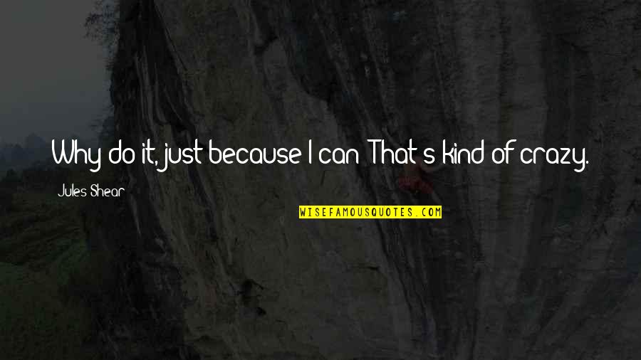 My Kind Of Crazy Quotes By Jules Shear: Why do it, just because I can? That's