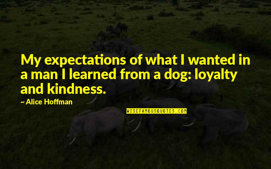 My Kindness Quotes By Alice Hoffman: My expectations of what I wanted in a My Kindness Quotes By Alice Hoffman: My expectations of what I wanted in a