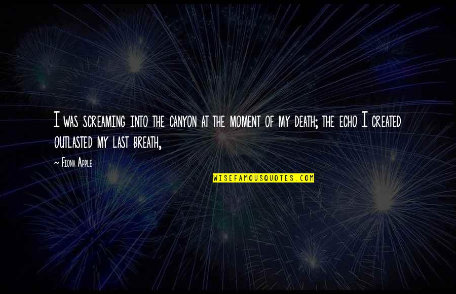 My Last Breath Quotes By Fiona Apple: I was screaming into the canyon at the My Last Breath Quotes By Fiona Apple: I was screaming into the canyon at the