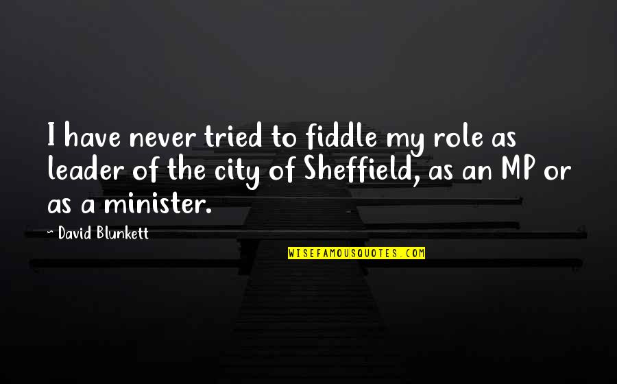 My Leader Quotes By David Blunkett: I have never tried to fiddle my role